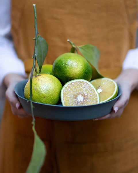 Lavoratti -  Bergamot Peel Covered with Chocolate (60g)